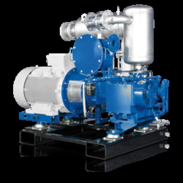 Compressor portátil