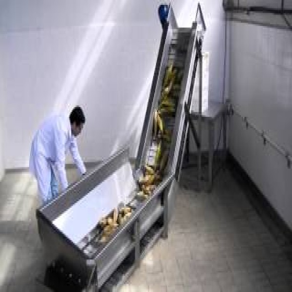 esteira transportadora para aviário