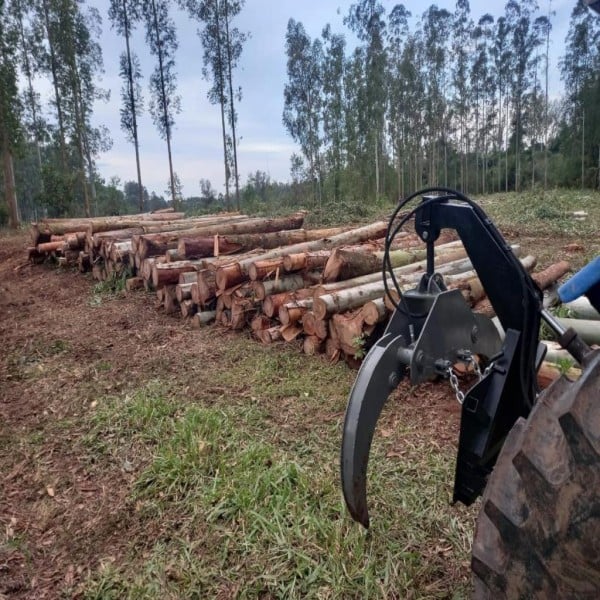 carregador florestal a venda