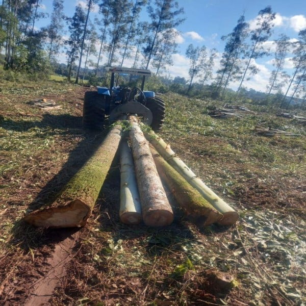 garra florestal preço