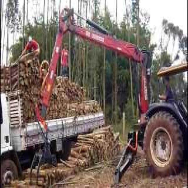 carregador florestal a venda