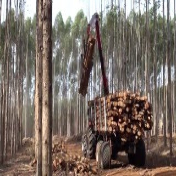 grua florestal para trator