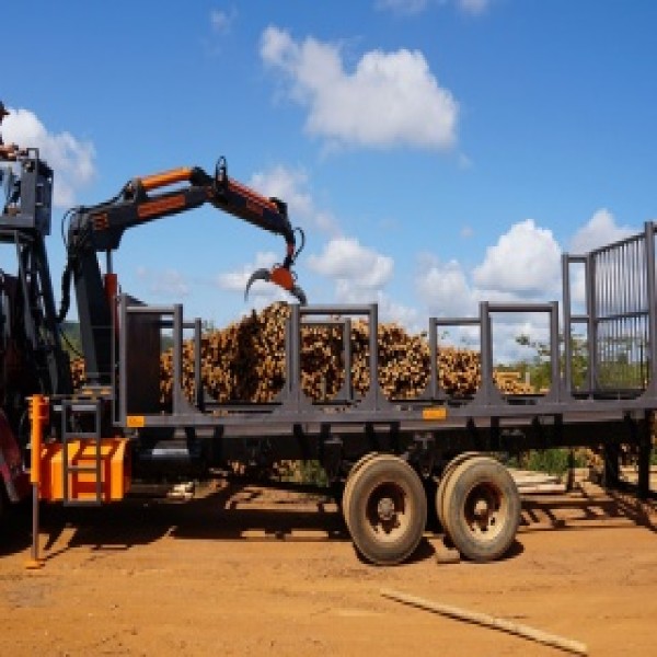 grua florestal para trator