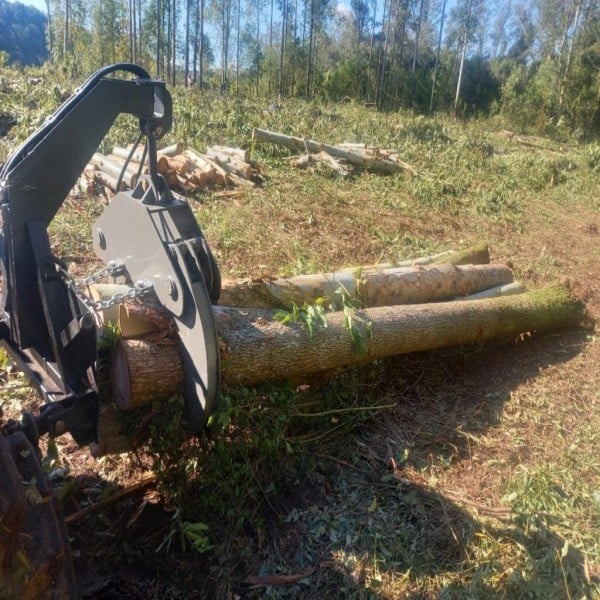 pinça florestal comprar