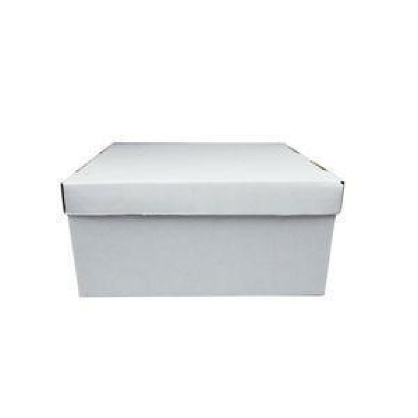 fornecedor de caixa de papelão branca
