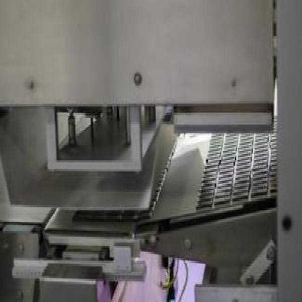 correia alimentícia