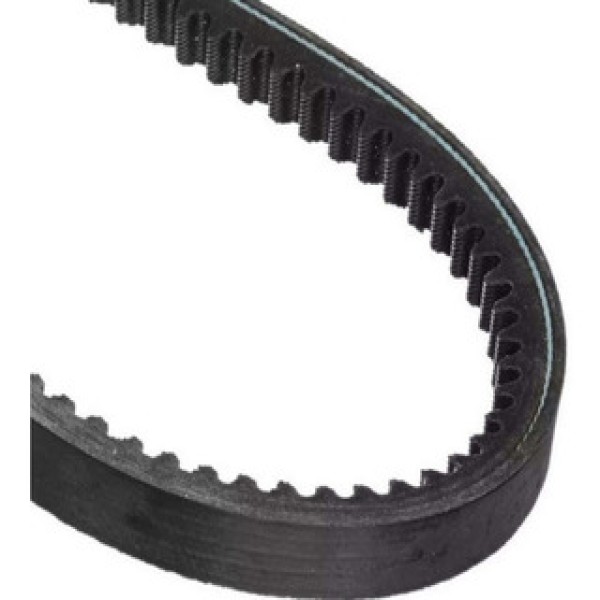 correia dentada