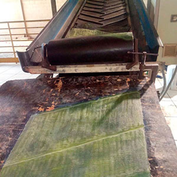 venda de correias