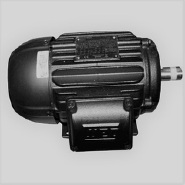 motor elétrico trifásico valor