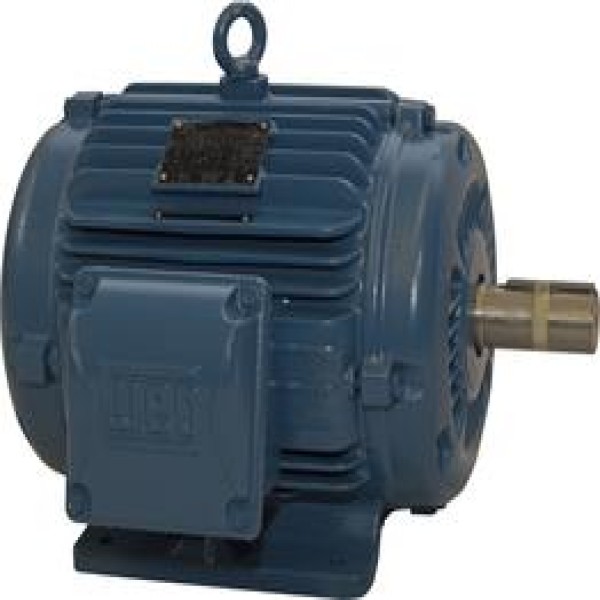 motor elétrico trifásico valor