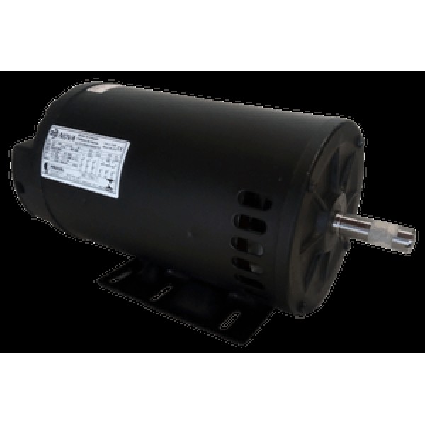 motor elétrico trifásico valor