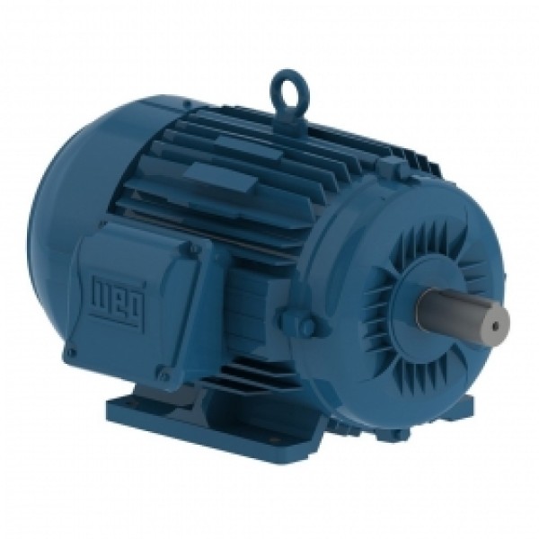 motor elétrico trifásico valor