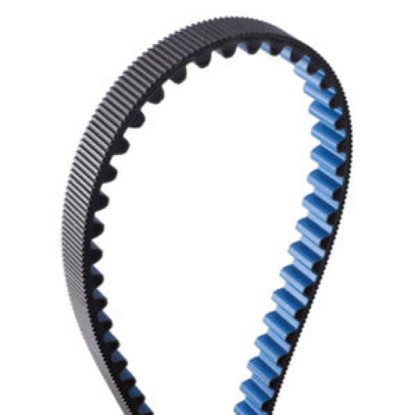 correia polychain