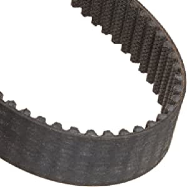 correia polychain