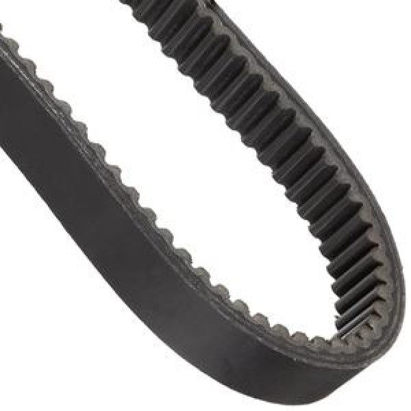 correia polychain