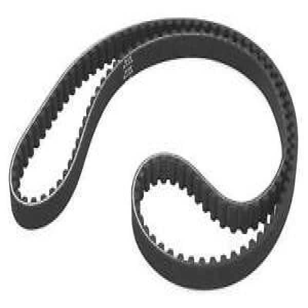 correia polychain