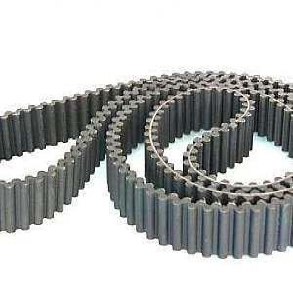 correia polychain