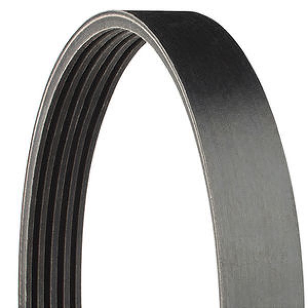 correias power band
