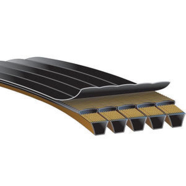 correias power band