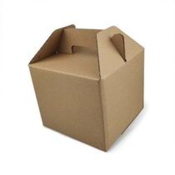 caixa tipo maleta de papelão