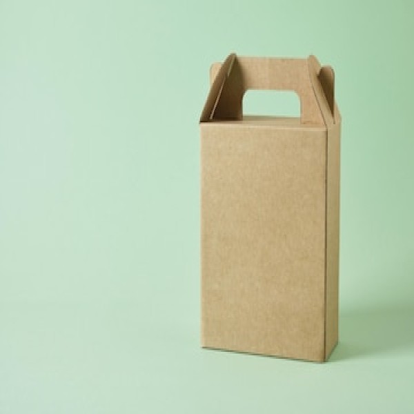 caixa tipo maleta de papelão
