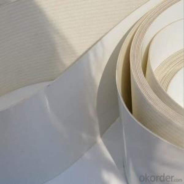 correia transportadora pvc branca