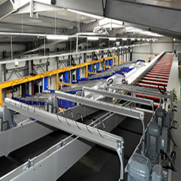 sorter logistica