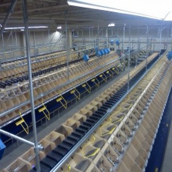 sorter