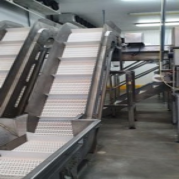 esteira transportadora alimentícia