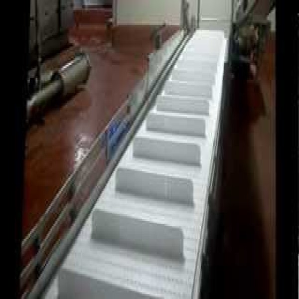esteira transportadora taliscada