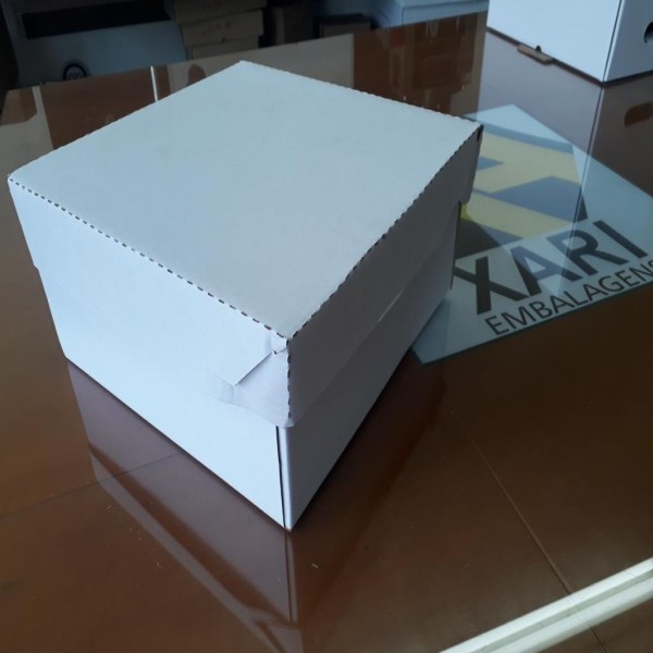caixa de papelão branca com tampa