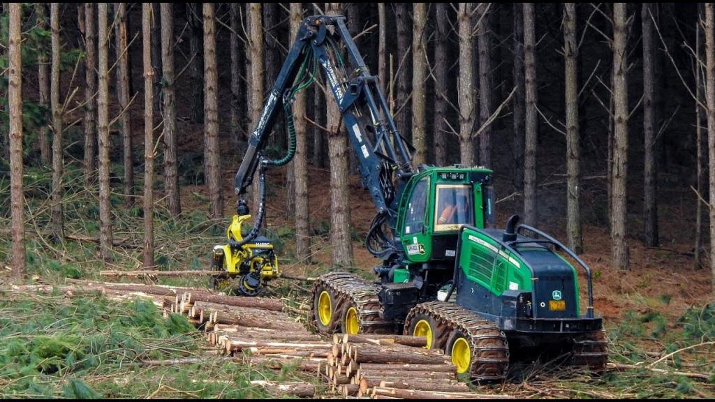 máquinas florestais harvester