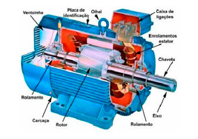 Motor de indução trifásico