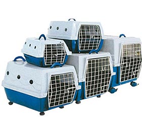 caixa de transporte para cães