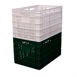 caixa plástica agrícola