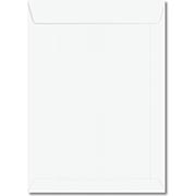 envelope de segurança remetente e destinatário branco 15 x c 24 cm