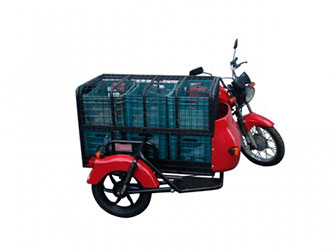 triciclo de carga traseira