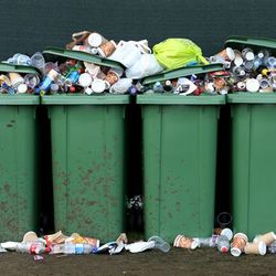 reciclagem de resíduos orgânicos