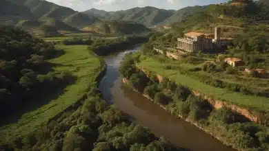 Governo de Minas sanciona lei para recuperação ambiental 8 Governo de Minas sanciona lei para recuperação ambiental