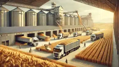 Conab retoma formação de estoques de trigo após 11 anos 8 DALL·E 2025 02 20 17.22.40 A realistic representation of the resumption of wheat stock formation by Conab. The scene features a large warehouse filled with freshly transported w