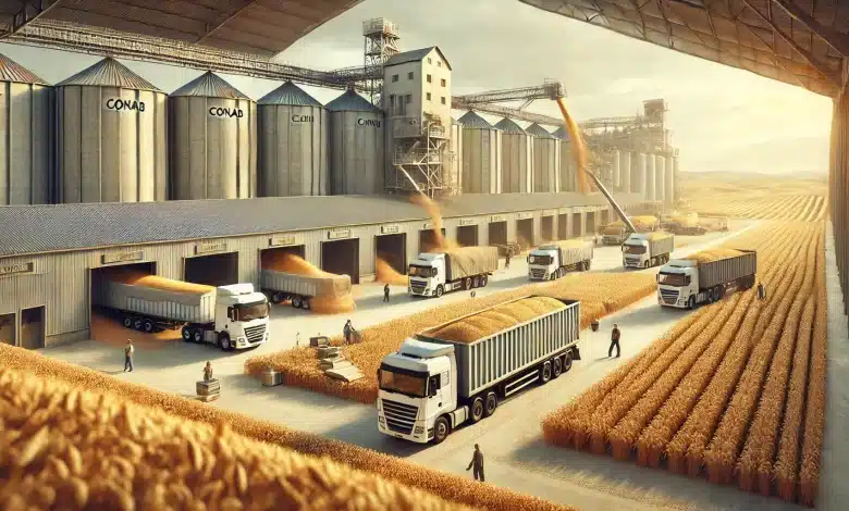 Conab retoma formação de estoques de trigo após 11 anos 1 DALL·E 2025 02 20 17.22.40 A realistic representation of the resumption of wheat stock formation by Conab. The scene features a large warehouse filled with freshly transported w