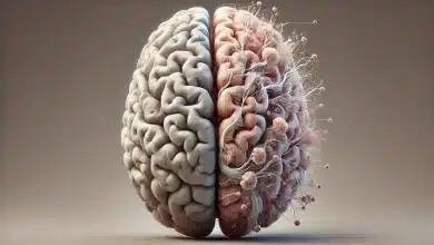 Estresse crônico pode alterar células cerebrais e decisões, diz pesquisa 6 DALL·E 2025 02 21 17.31.56 A highly realistic and scientifically accurate depiction of the effects of chronic stress on the brain. The image features a human brain with detailed