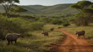 Desmatamento no Cerrado reduz 33% em 2024, mas ainda preocupa 10 Desmatamento no Cerrado reduz 33% em 2024 mas ainda preocupa