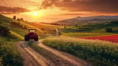 Governo lança Programa Nacional de Estradas Rurais para fortalecer o agronegócio 8 Estradas Rurais: Novo Programa Nacional Impulsiona Agropecuária