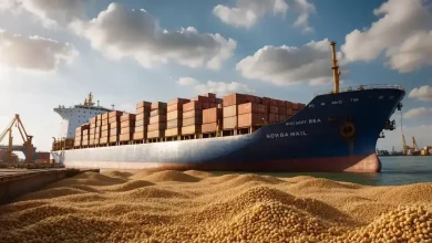 Abiove Prevê Exportação de Farelo de Soja Recorde em 2025 8 Exportação de Farelo de Soja Cresce com Novo Recorde