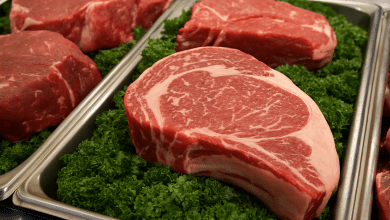 Brasil poderá exportar até 300 mil toneladas de carne bovina ao Vietnã 8 ChatGPT Image 28 de mar. de 2025 13 29 33