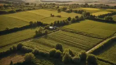 Agricultura Regenerativa na Europa: Custos e Incentivos Analisados 7 Agricultura Regenerativa na Europa: Custos e Incentivos Analisados