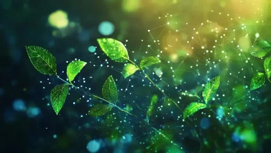 Ambipar Inova com Créditos de Carbono Tokenizados na B3 7 Ambipar Inova com Créditos de Carbono Tokenizados na B3
