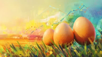Global Eggs expande operações com aquisição de empresa nos EUA 1 Aquisição Global Eggs Impulsiona Mercado de Ovos nos EUA