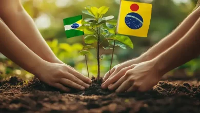 Brasil e Japão fortalecem cooperação para desenvolvimento sustentável 6 Brasil e Japão fortalecem cooperação para desenvolvimento sustentável